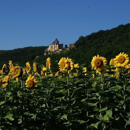 Bed & Breakfast Chez Gallon D'hotes Vezac (Dordogne)